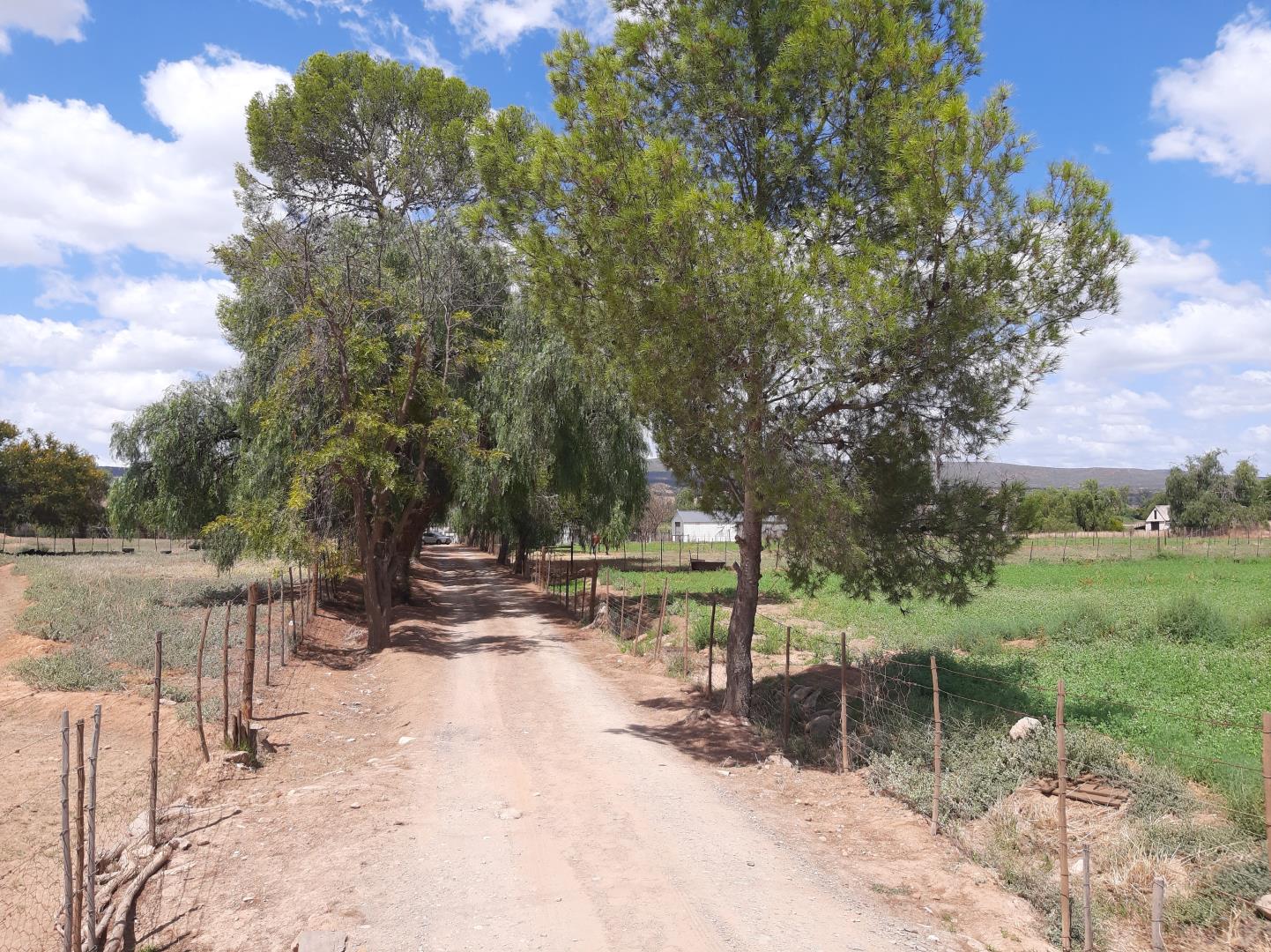 4 Bedroom Farm for Sale - Western Cape
