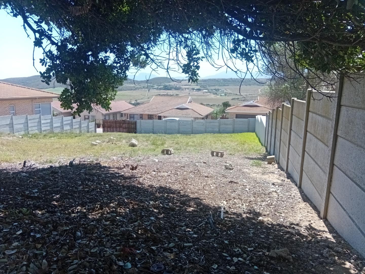 756815_5.jpg