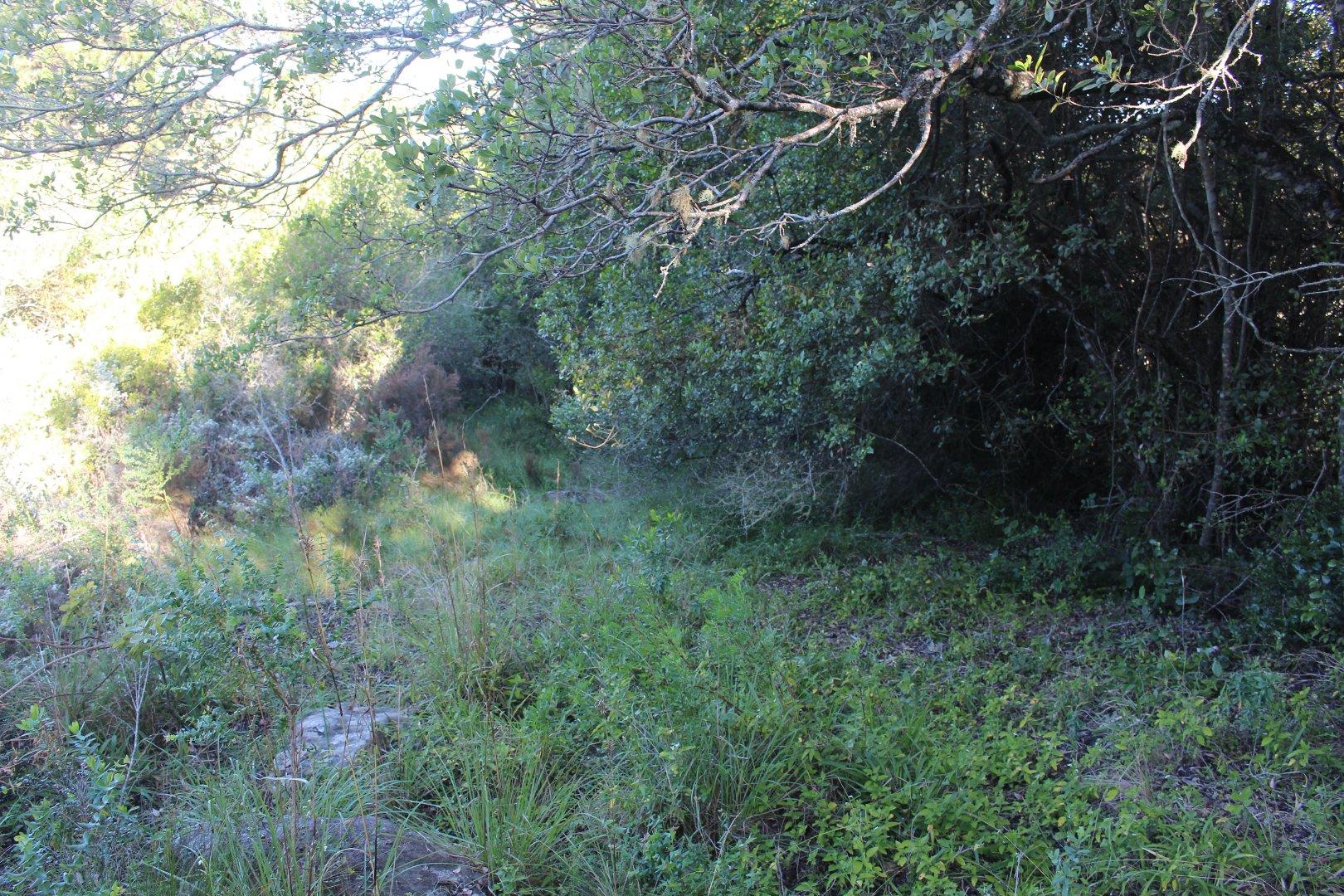 730734_11.jpg