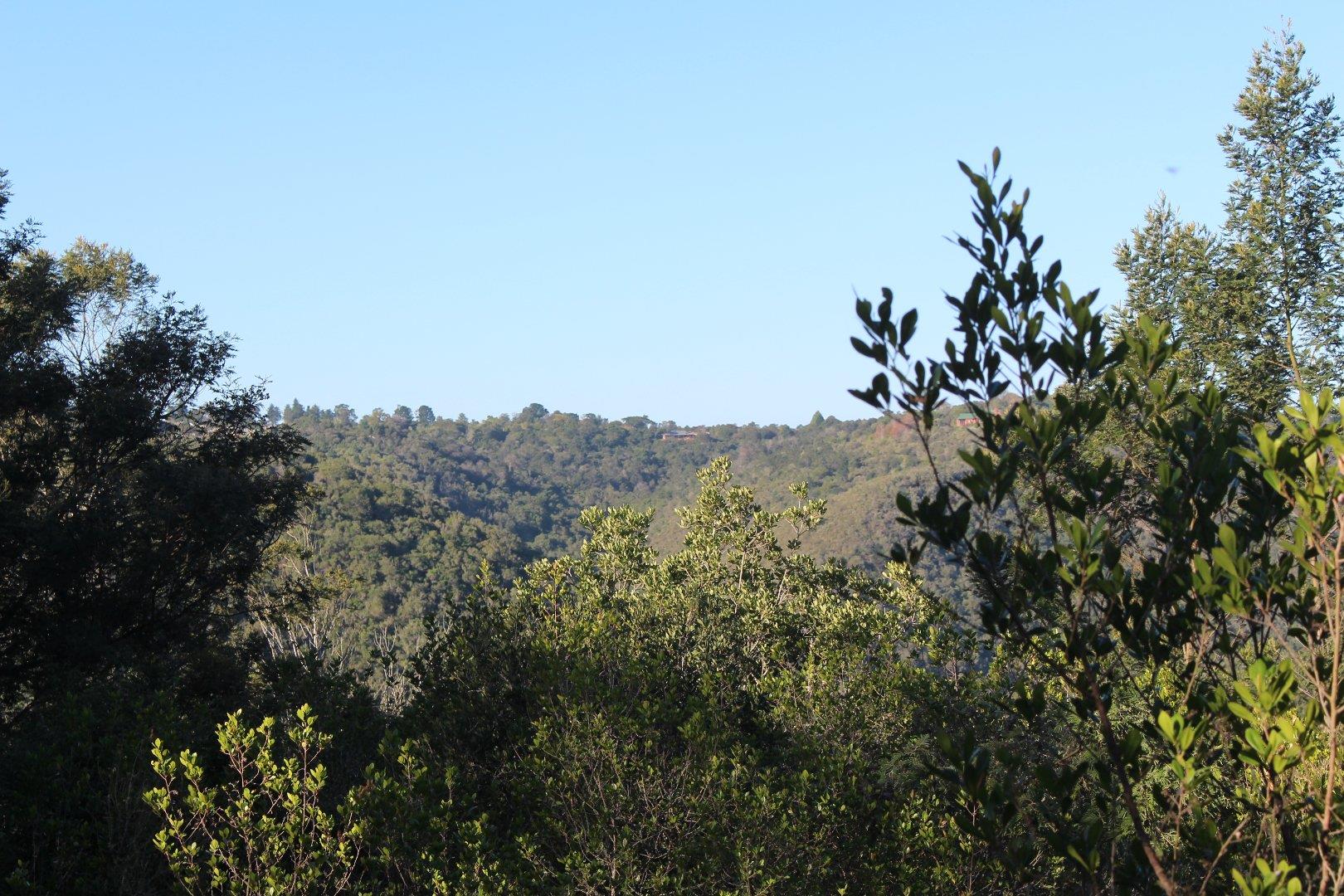 730734_12.jpg