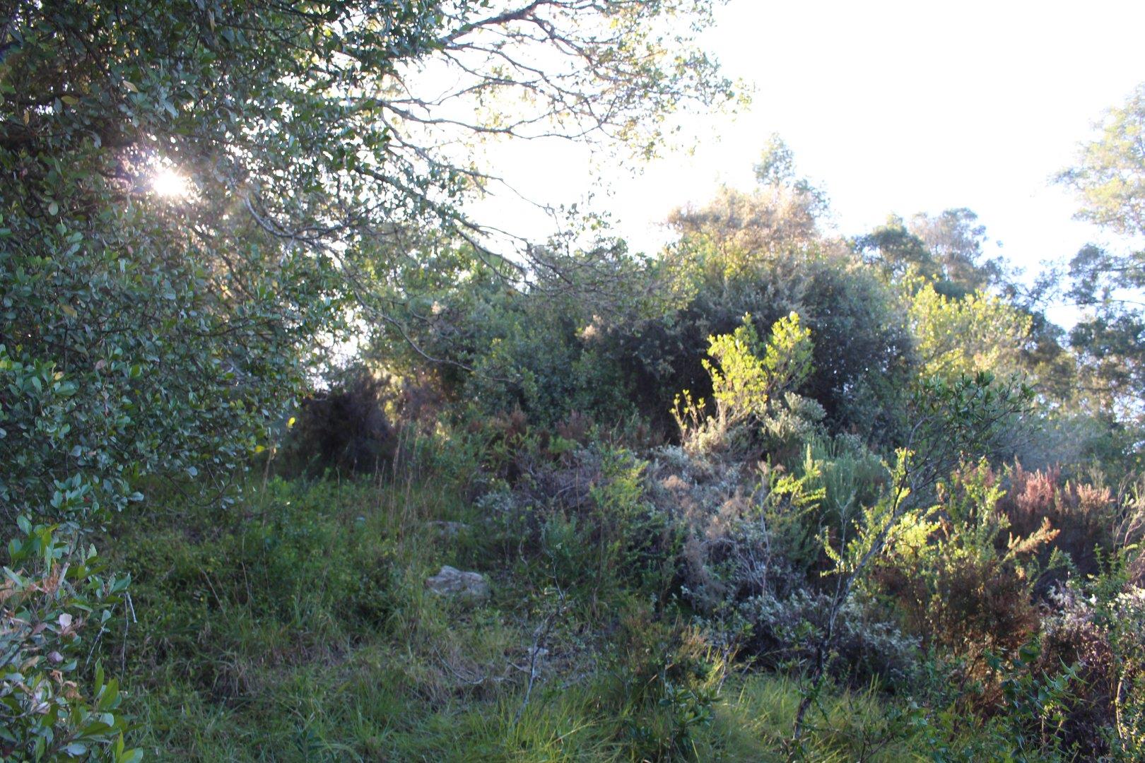 730734_14.jpg