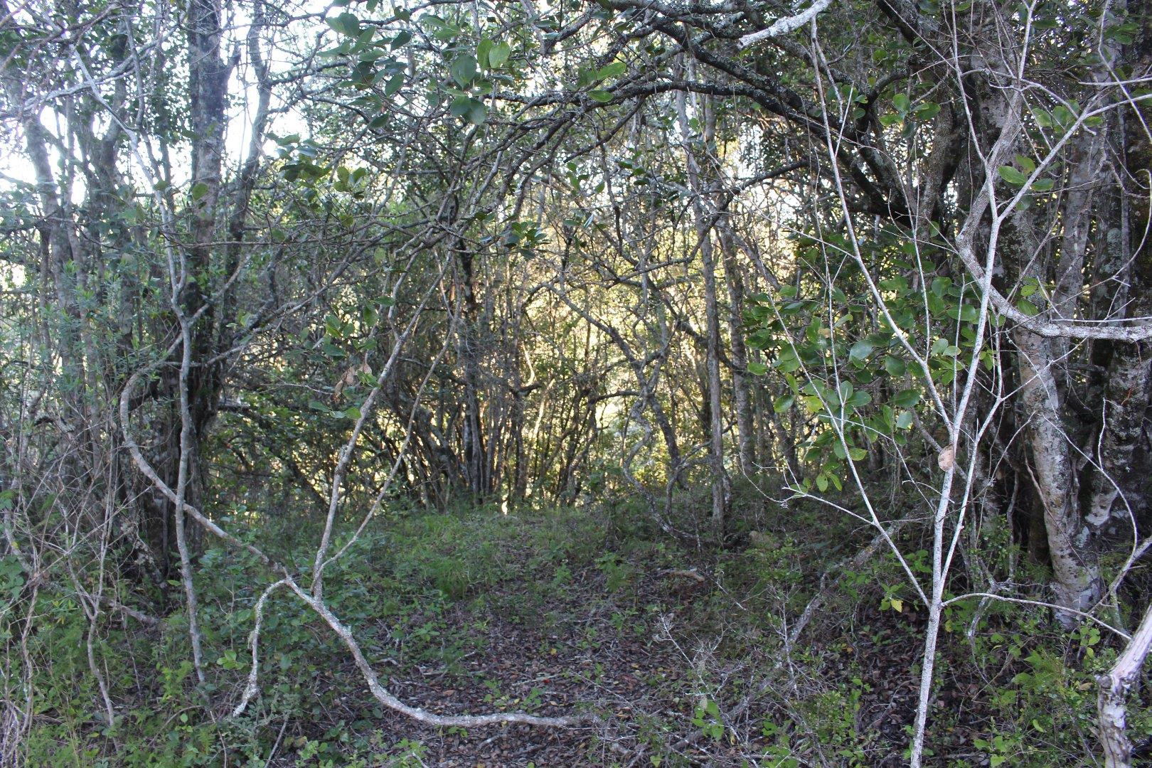 730734_15.jpg