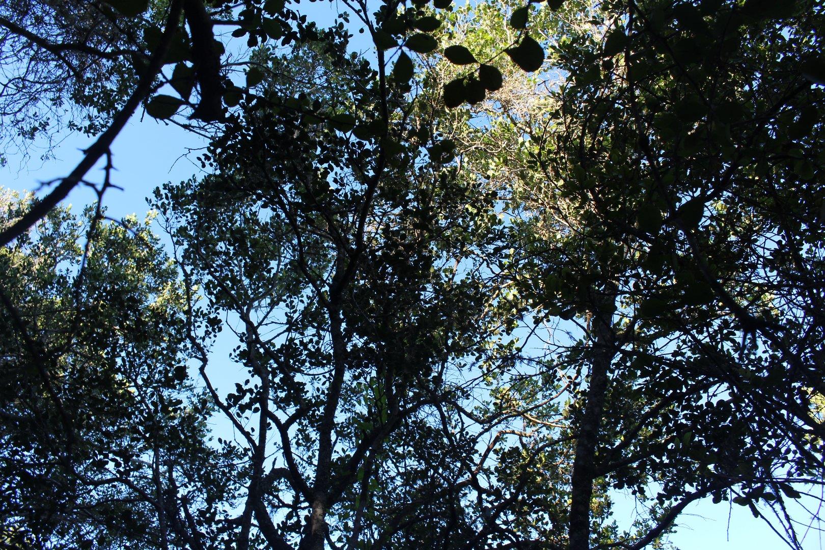 730734_19.jpg