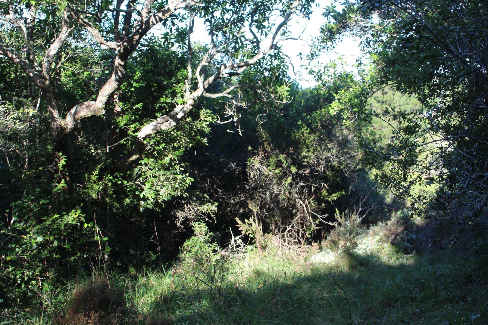 730734_2.jpg