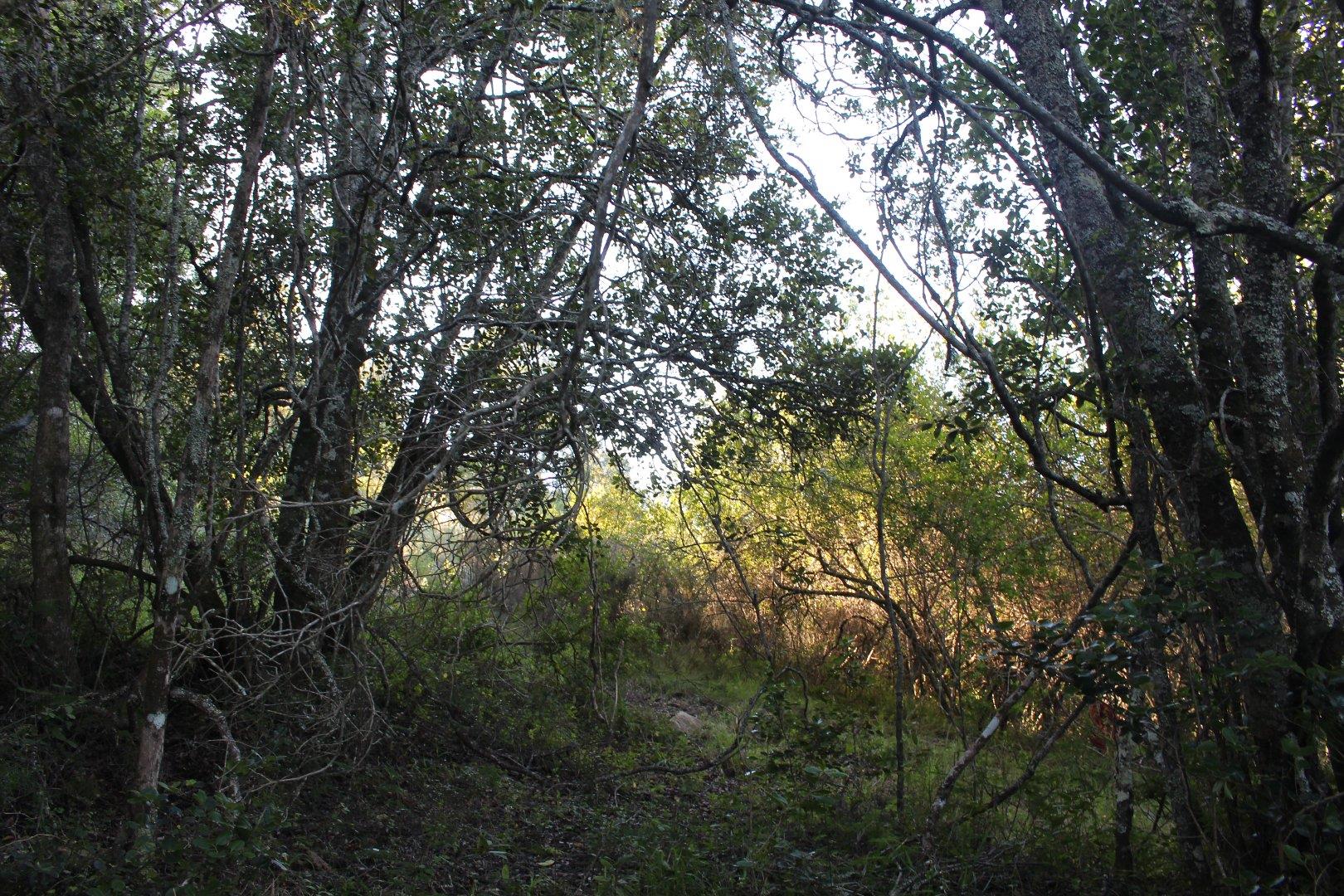 730734_20.jpg