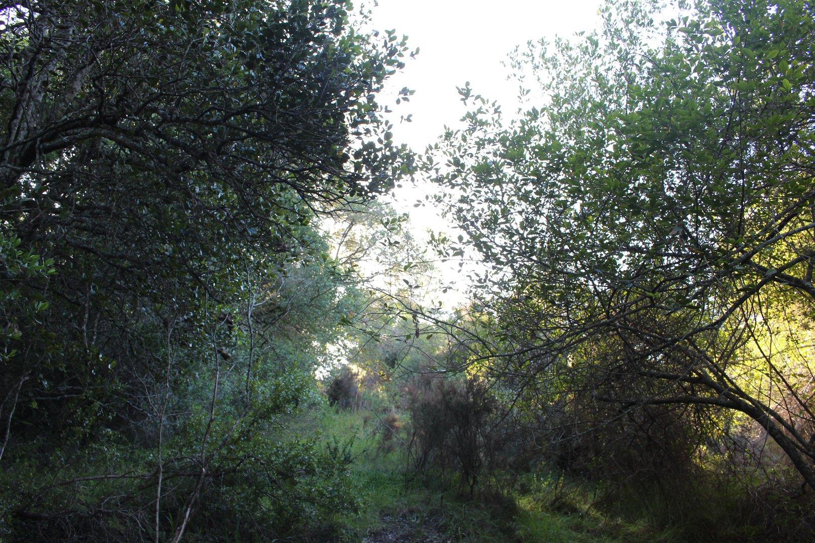 730734_21.jpg