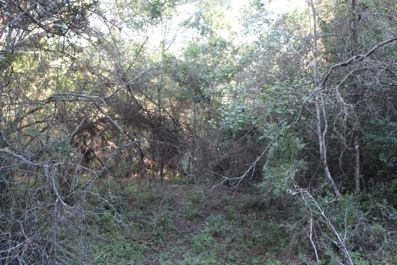 730734_22.jpg