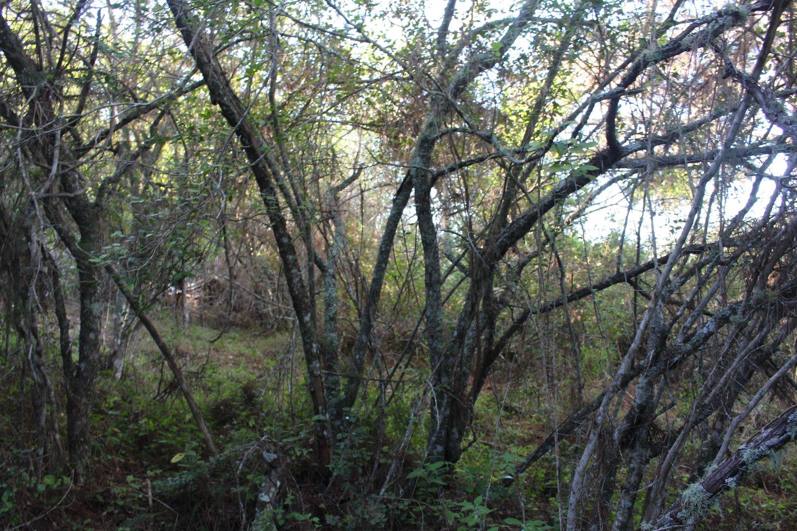 730734_23.jpg