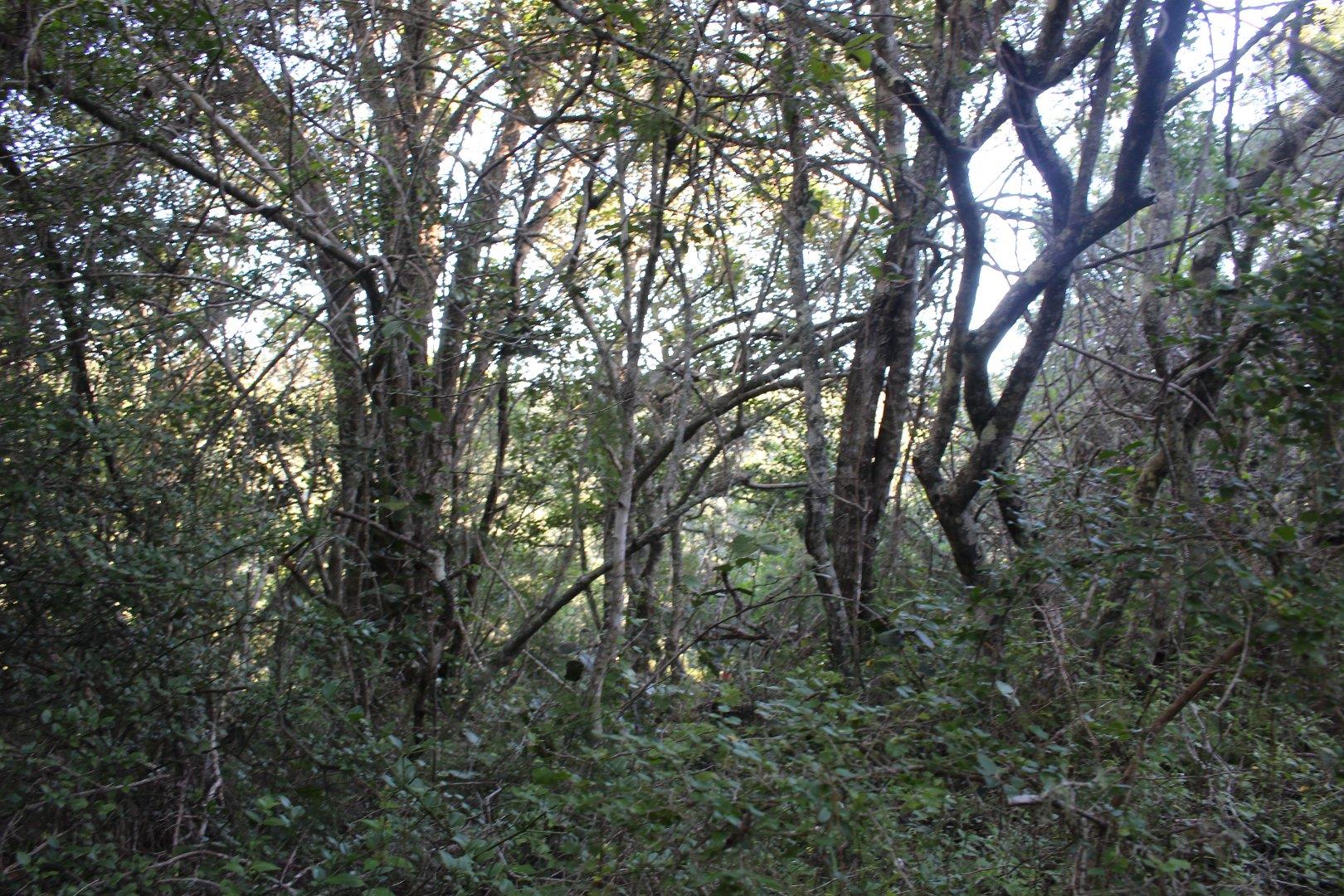 730734_24.jpg