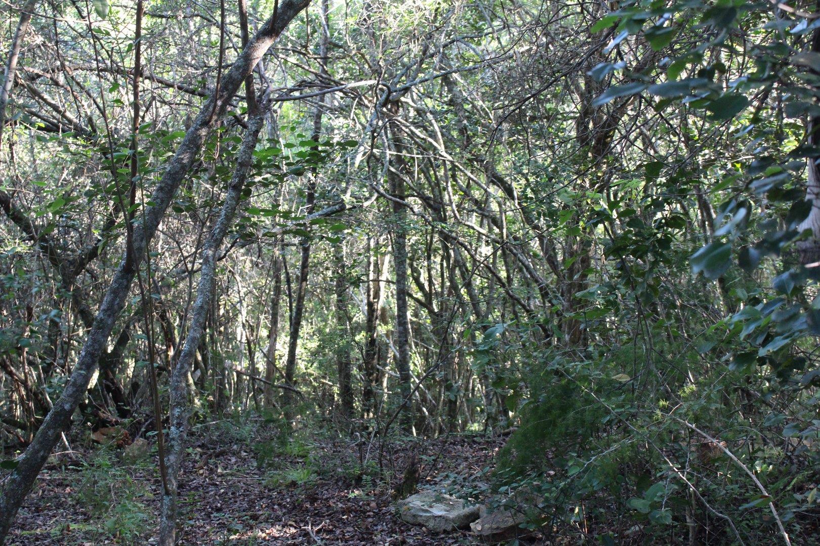 730734_25.jpg