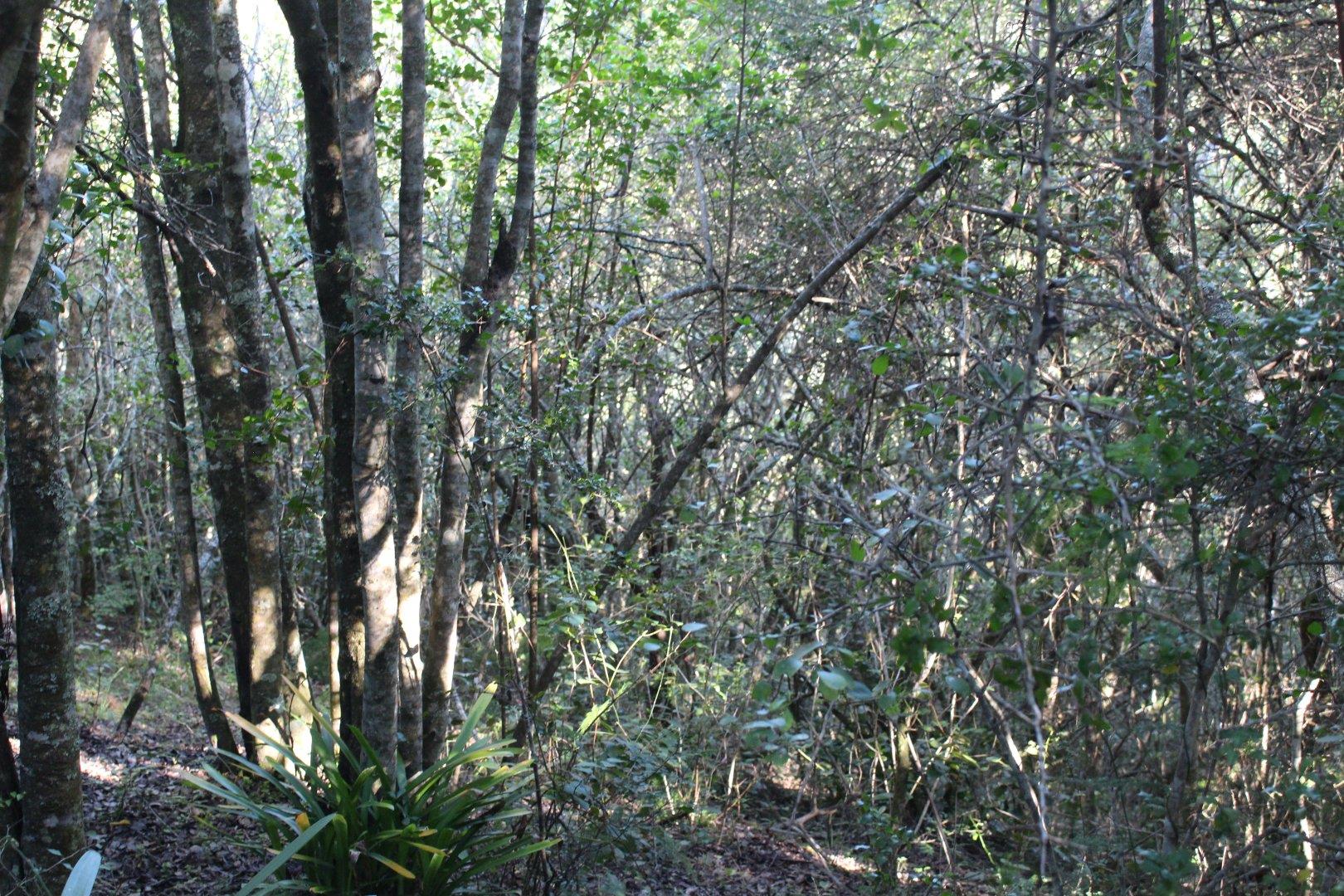 730734_26.jpg