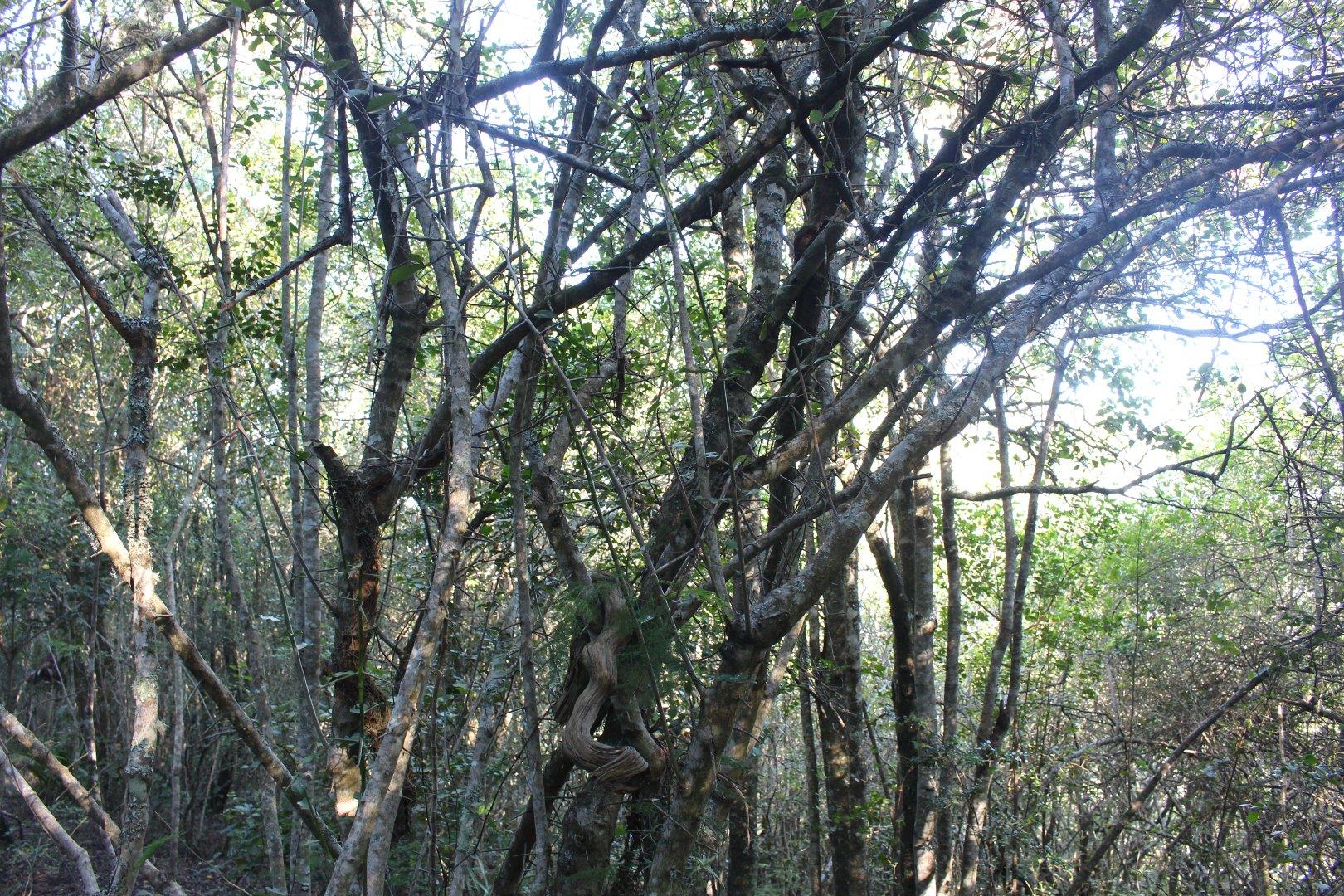 730734_27.jpg
