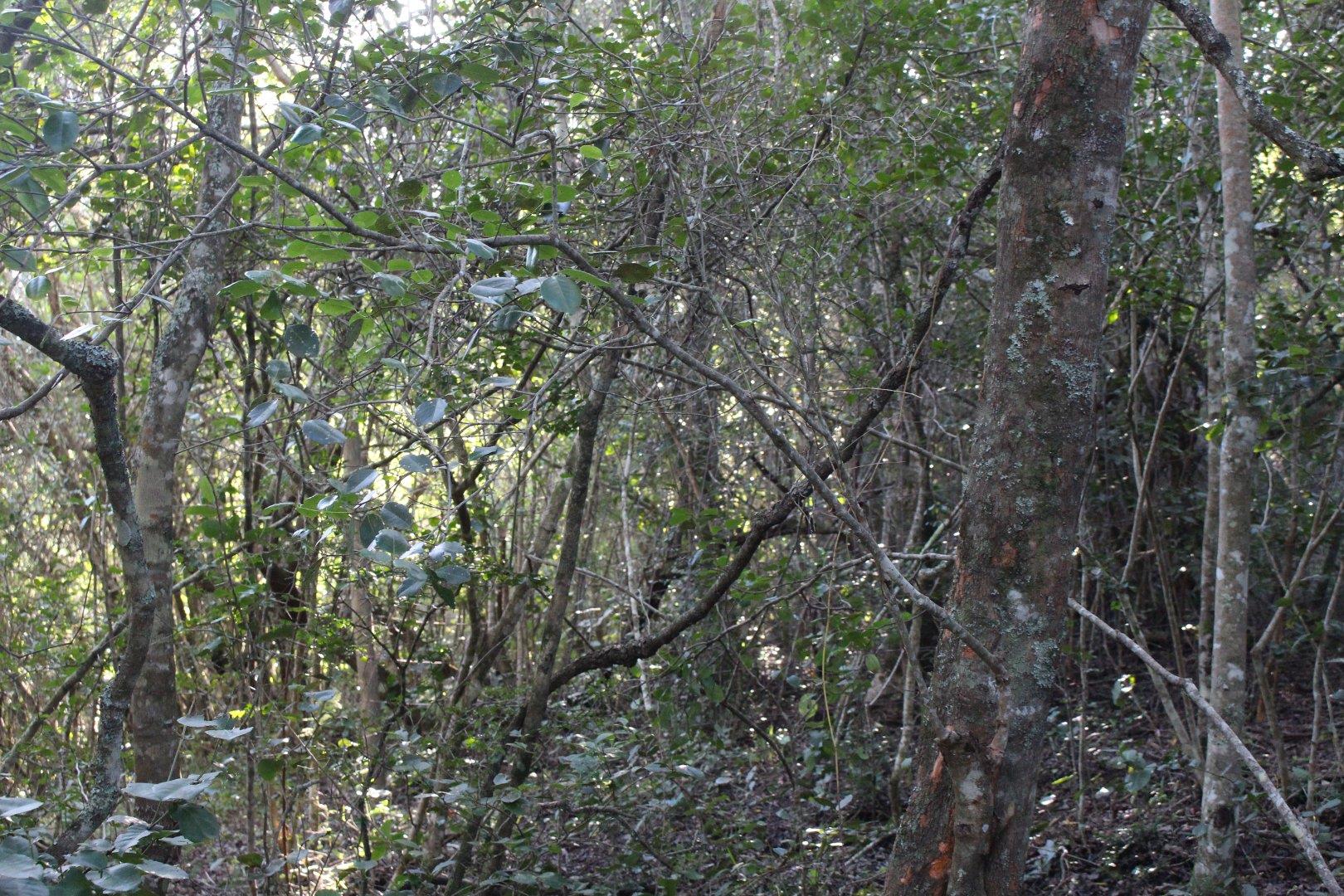 730734_28.jpg