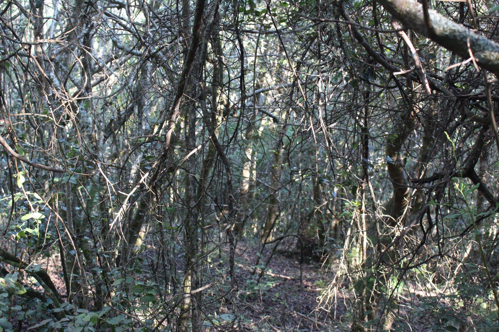 730734_29.jpg