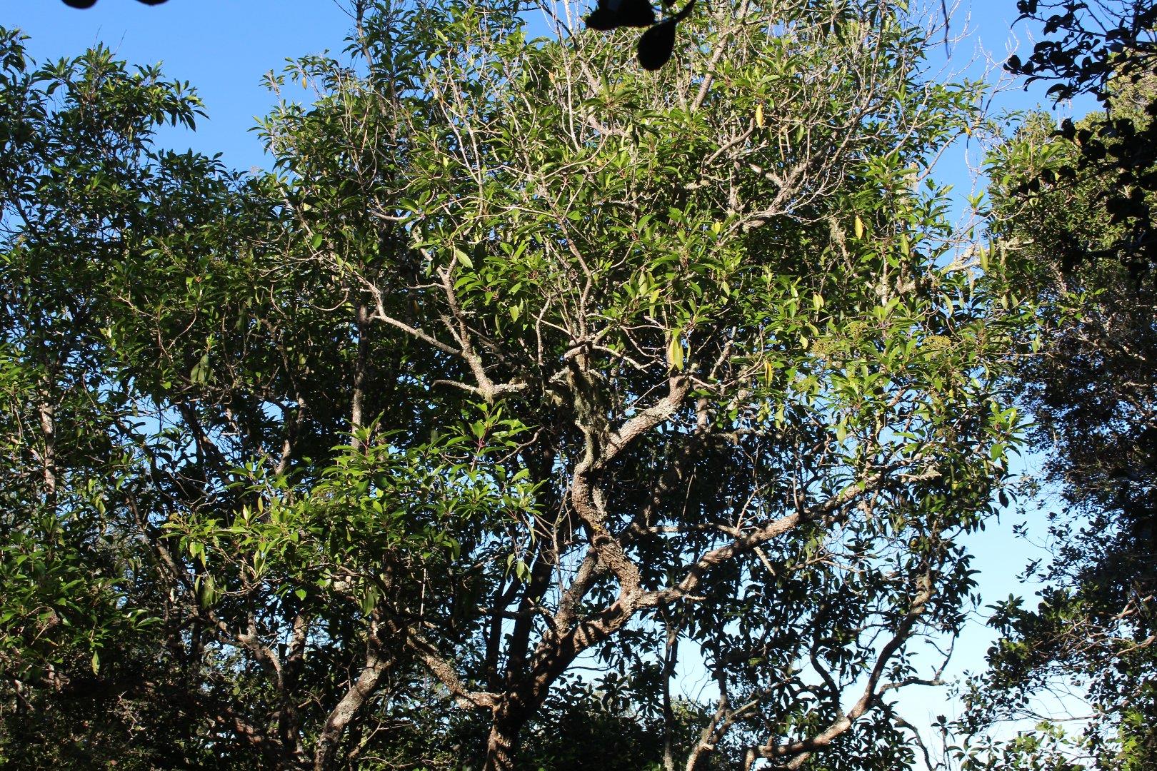 730734_3.jpg