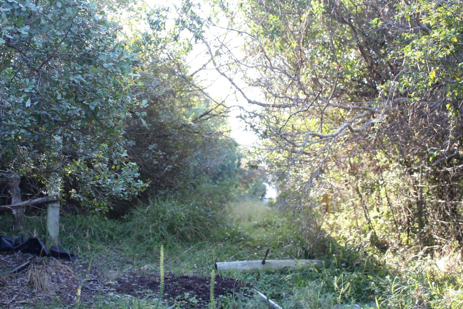 730734_6.jpg