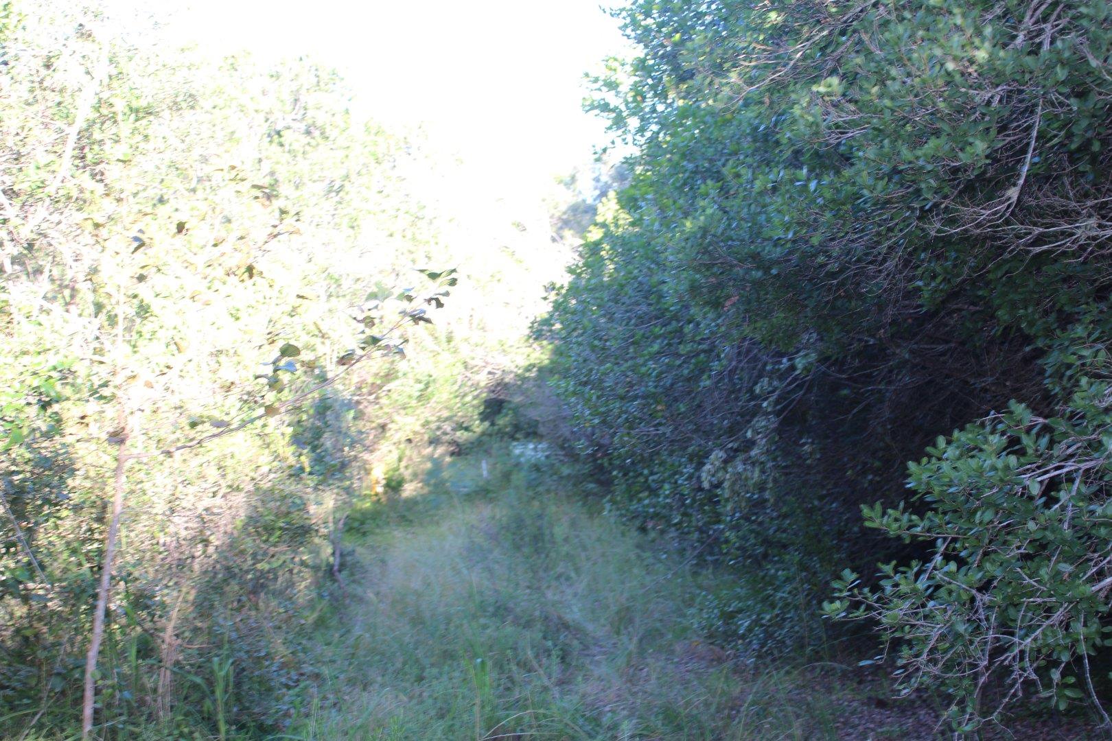 730734_7.jpg
