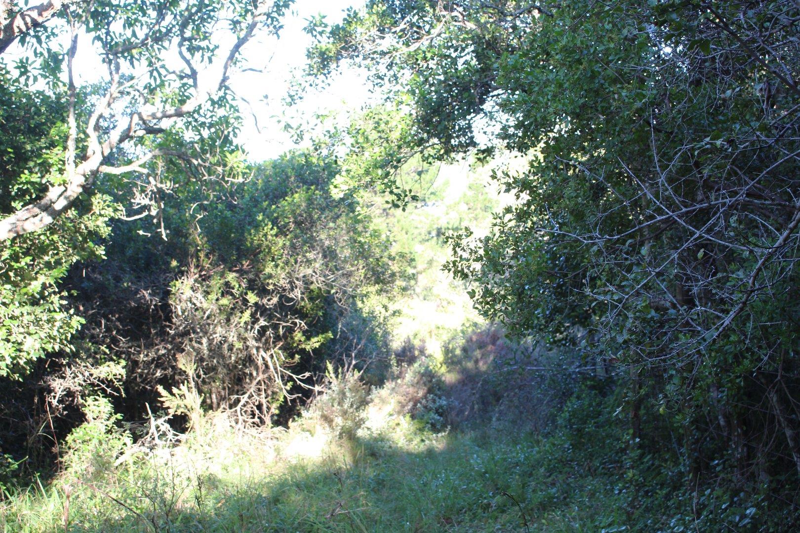 730734_9.jpg