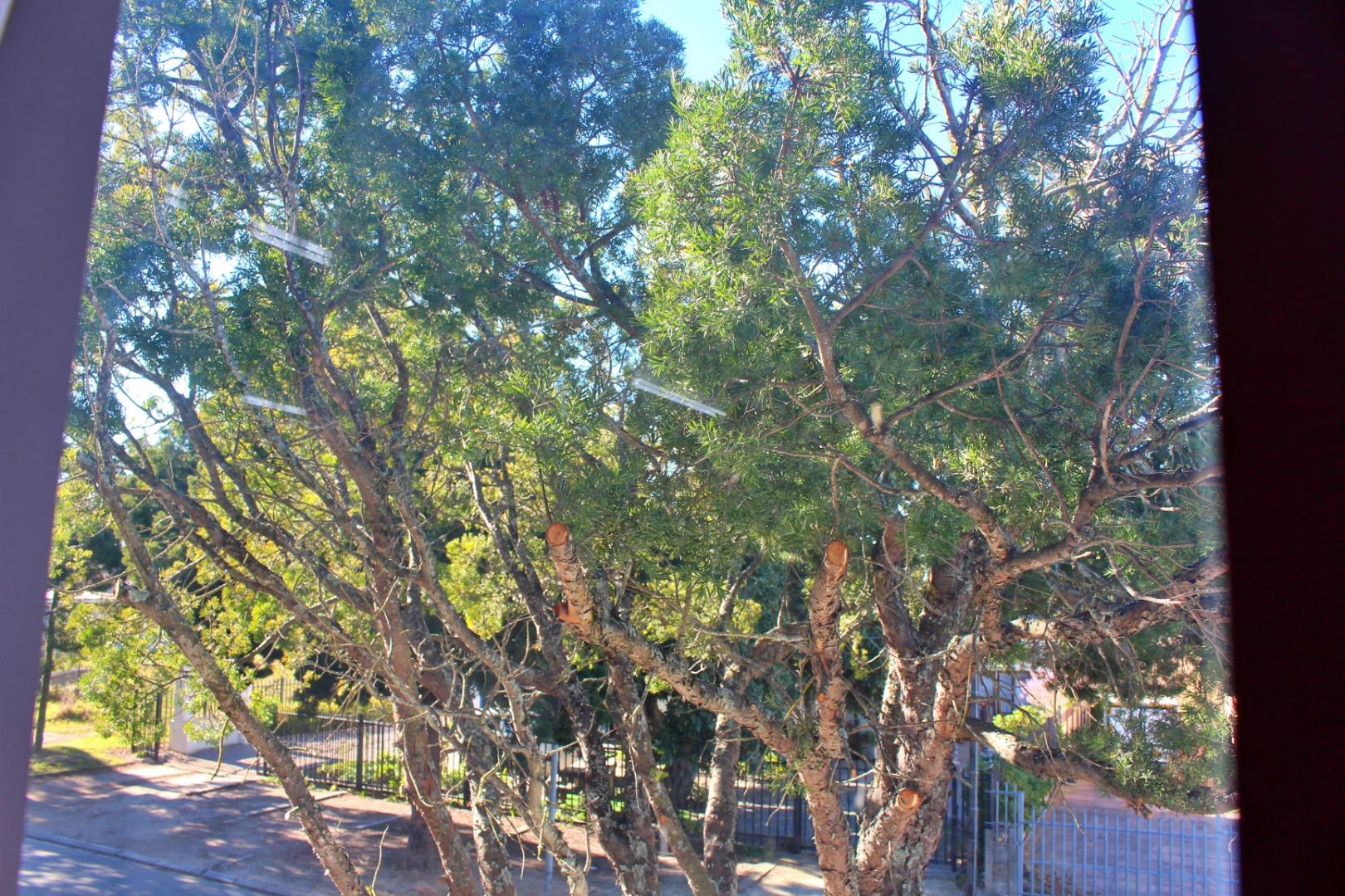 753122_IMG_7569.JPG
